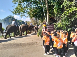 20231218014930.jpg - กิจกรรมทัศนศึกษาแหล่งเรียนรู้นอกสถานที่ เพื่อเปิดโลกทัศน์กว้างไกล สำหรับเด็กปฐมวัย ณ ศูนย์อนุรักษ์ช้างไทย อ.ห้างฉัตร จ.ลำปาง | https://www.pongsanook.ac.th