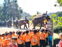 20231218014952(2).jpg - กิจกรรมทัศนศึกษาแหล่งเรียนรู้นอกสถานที่ เพื่อเปิดโลกทัศน์กว้างไกล สำหรับเด็กปฐมวัย ณ ศูนย์อนุรักษ์ช้างไทย อ.ห้างฉัตร จ.ลำปาง | https://www.pongsanook.ac.th