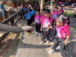 20231218014953(1).jpg - กิจกรรมทัศนศึกษาแหล่งเรียนรู้นอกสถานที่ เพื่อเปิดโลกทัศน์กว้างไกล สำหรับเด็กปฐมวัย ณ ศูนย์อนุรักษ์ช้างไทย อ.ห้างฉัตร จ.ลำปาง | https://www.pongsanook.ac.th
